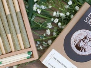 Pre Roll Packaging